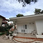 Tutta * Chiatona